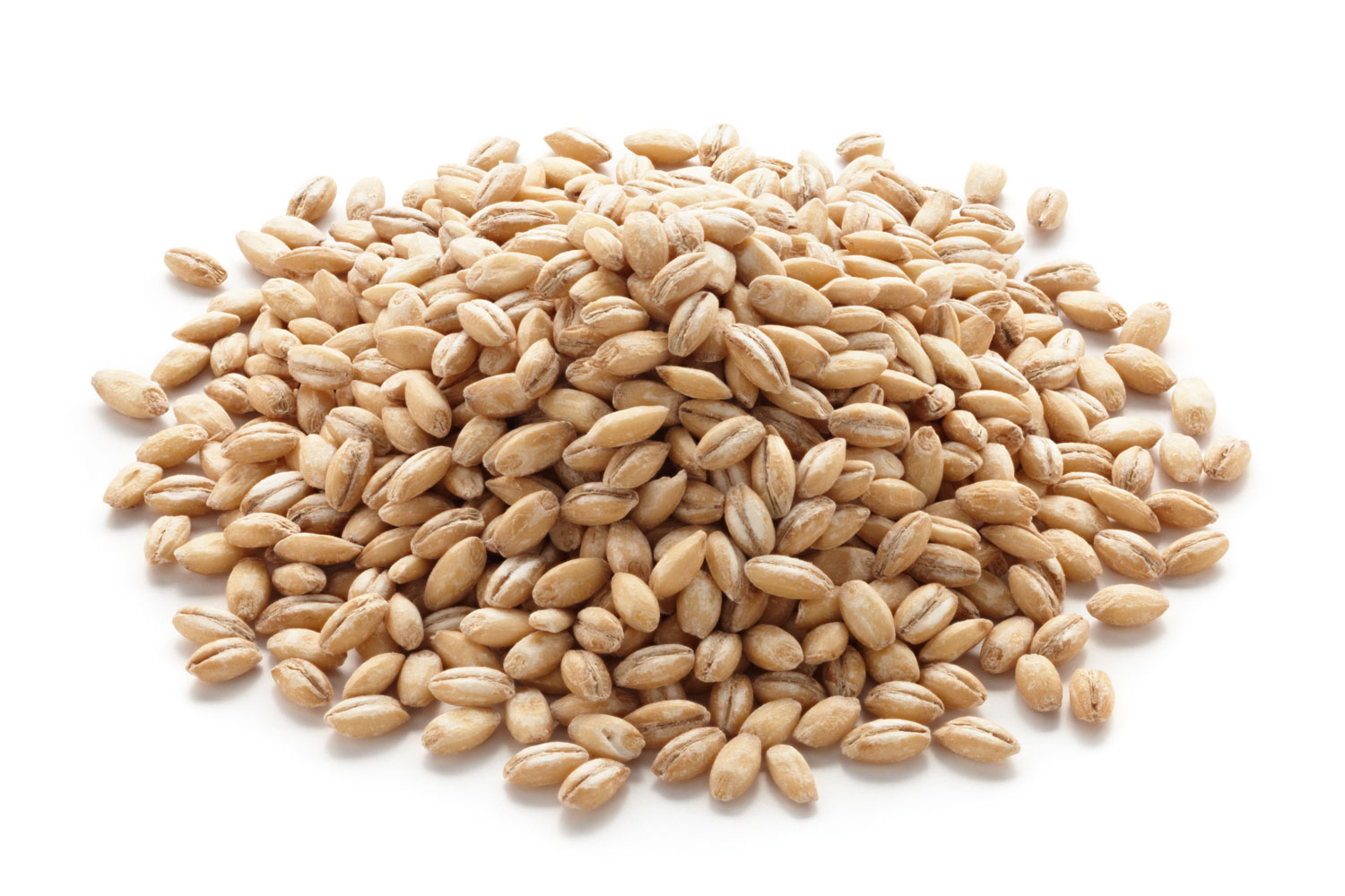 Barley - tejarat sabz