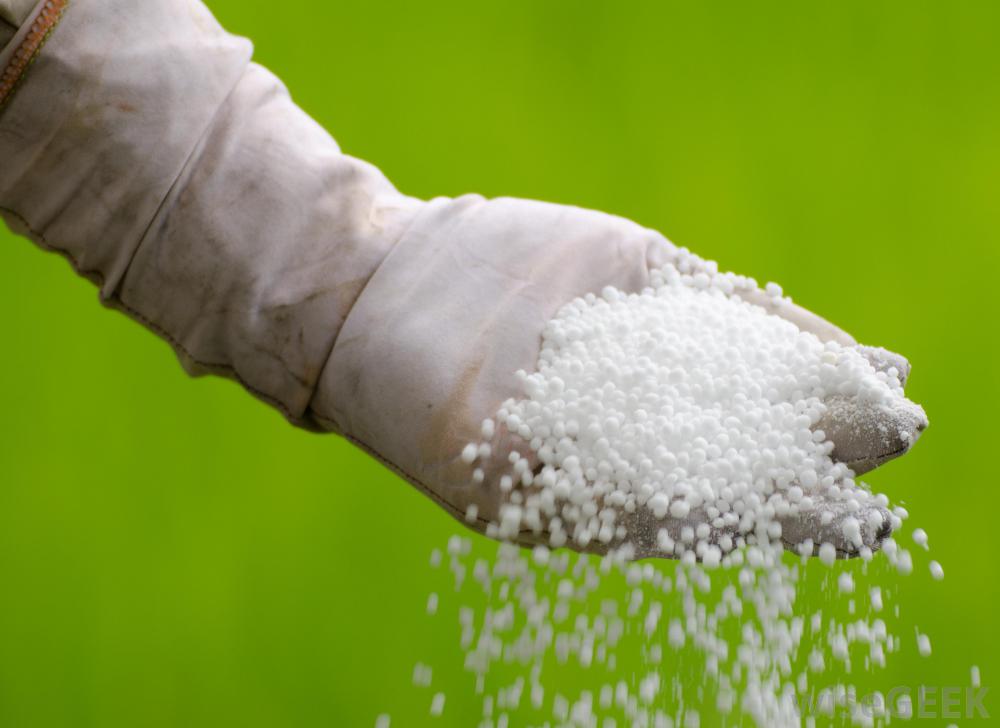 chemical Products -Urea - tejarat sabz - trading Company